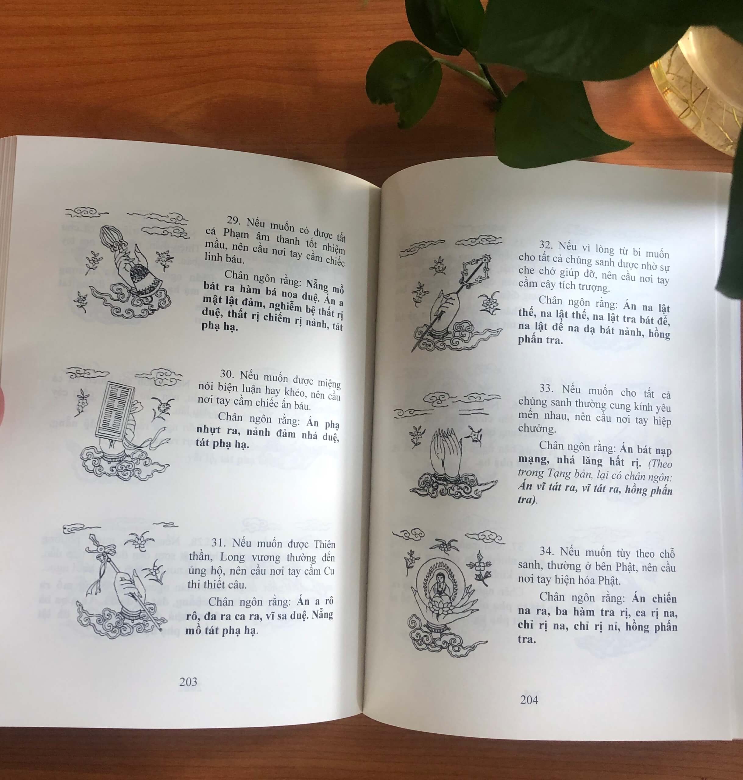 64f053fdbafde5f05fd391882beb510b