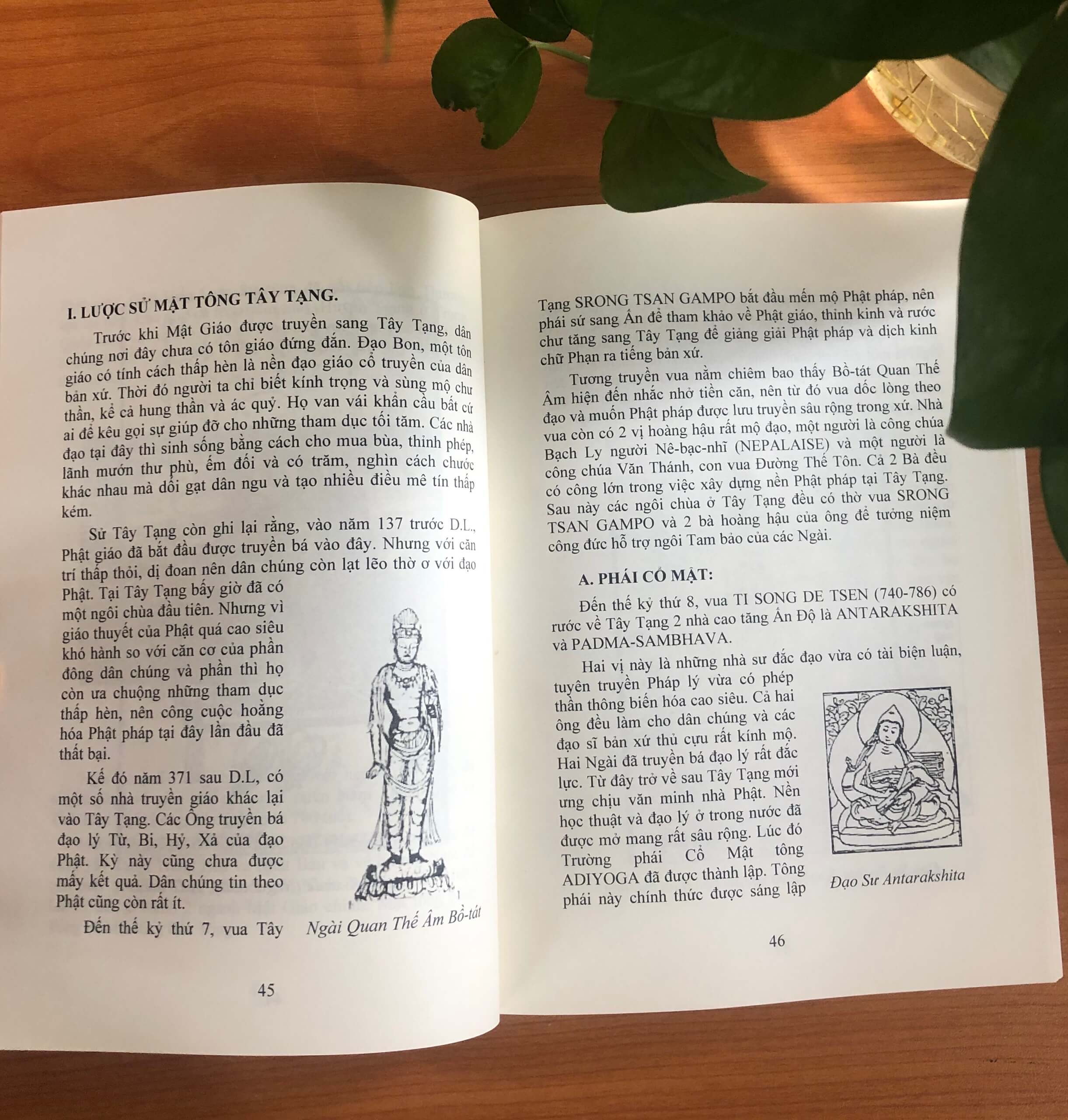 919d5b96be9d90b508415492555e7bc7