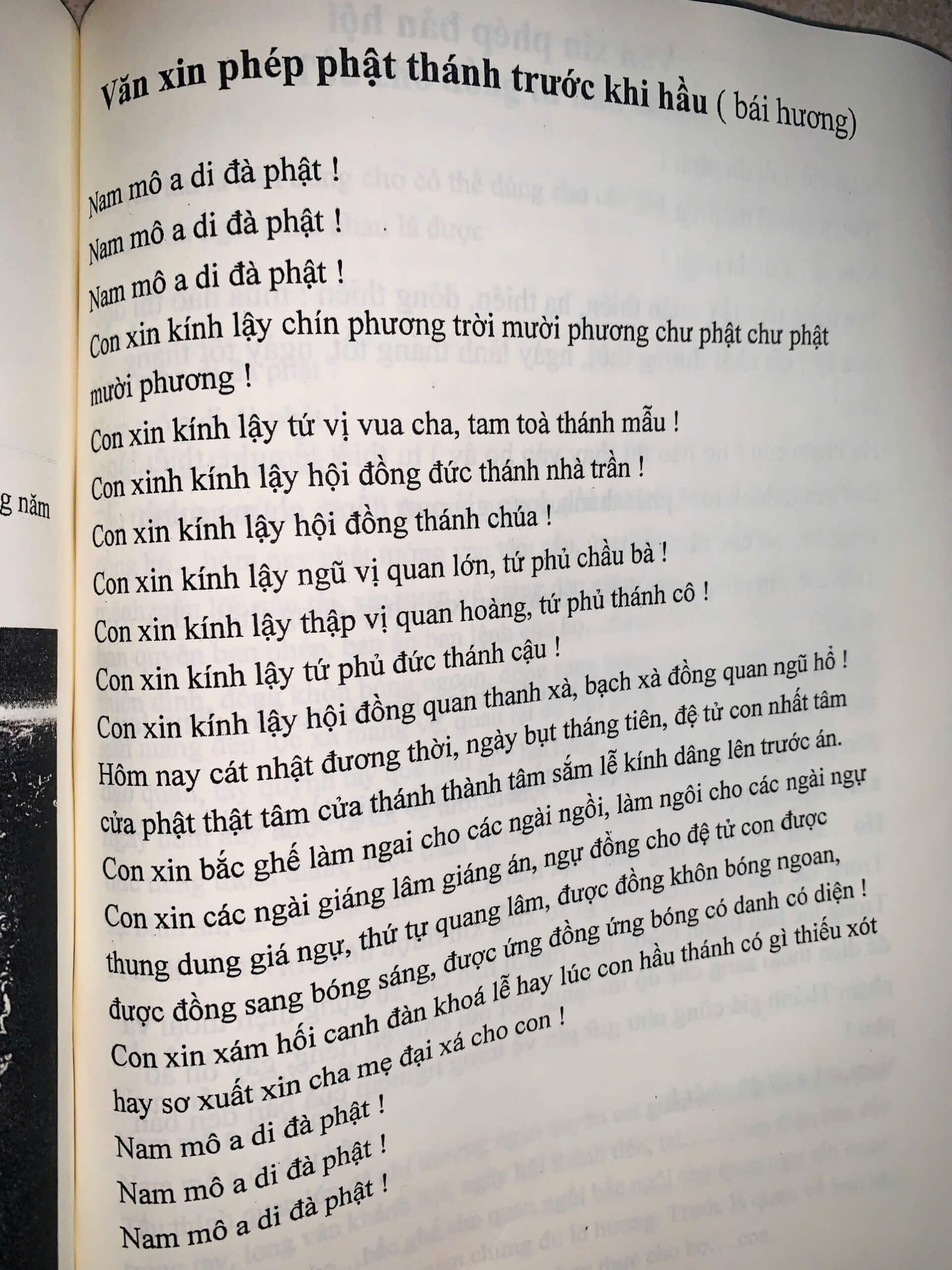 z6384246636157_2699374297857d168ead8001a0248931