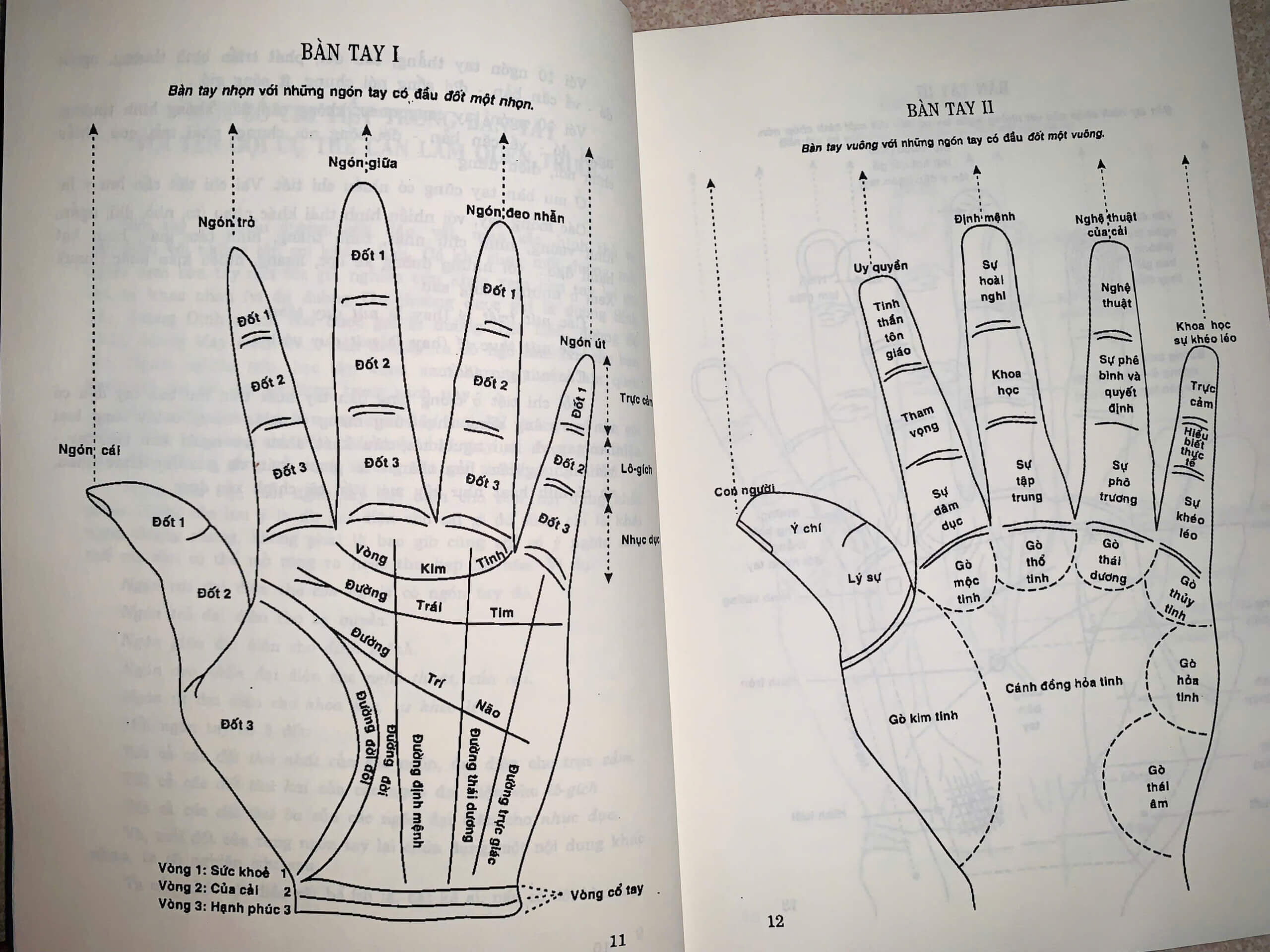 z6384299230086_ee481d7fa77e9e825d8bf7a7a8612e3b