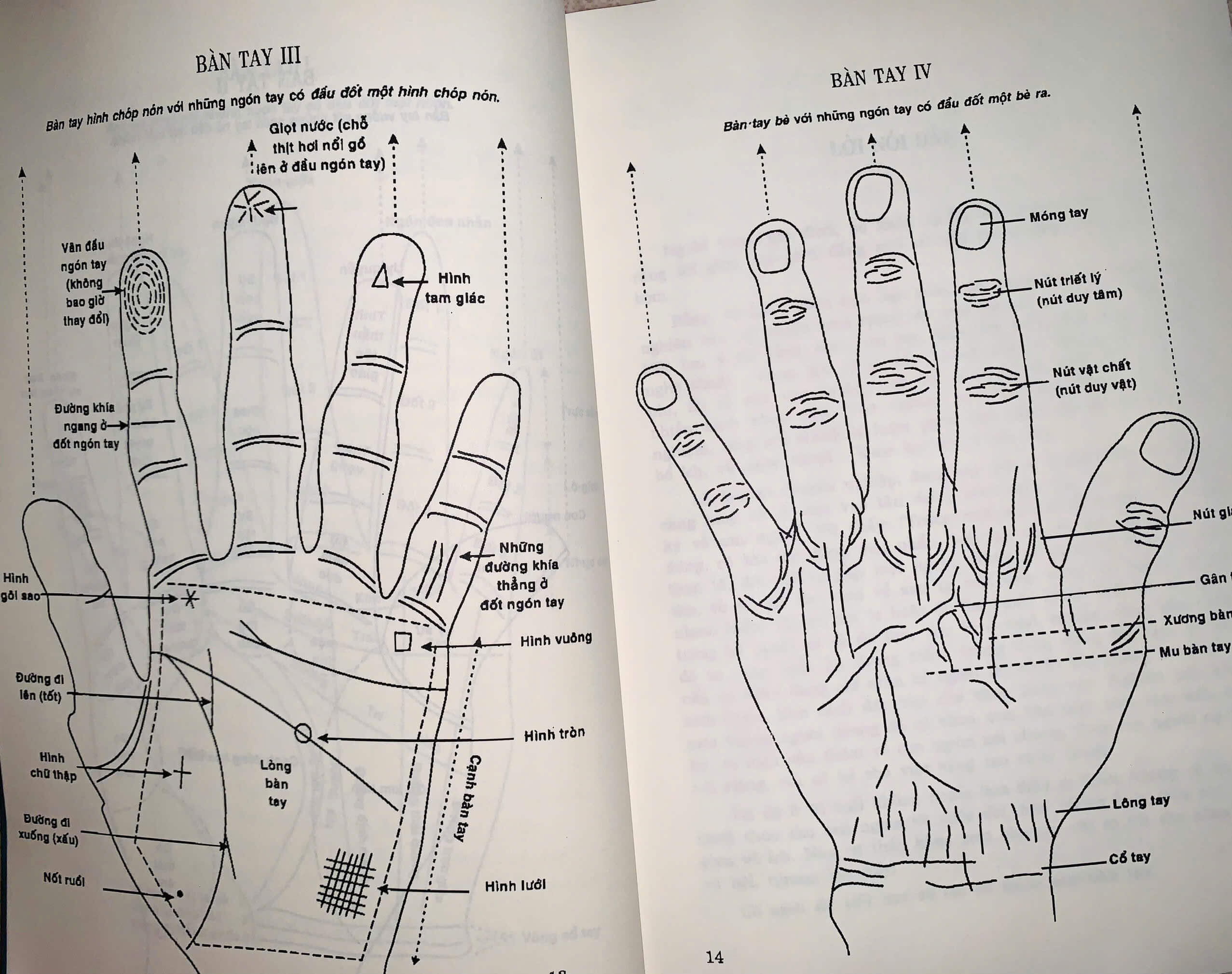 z6384299243222_3d9c7d389946881e3d74ca26e5f901e0