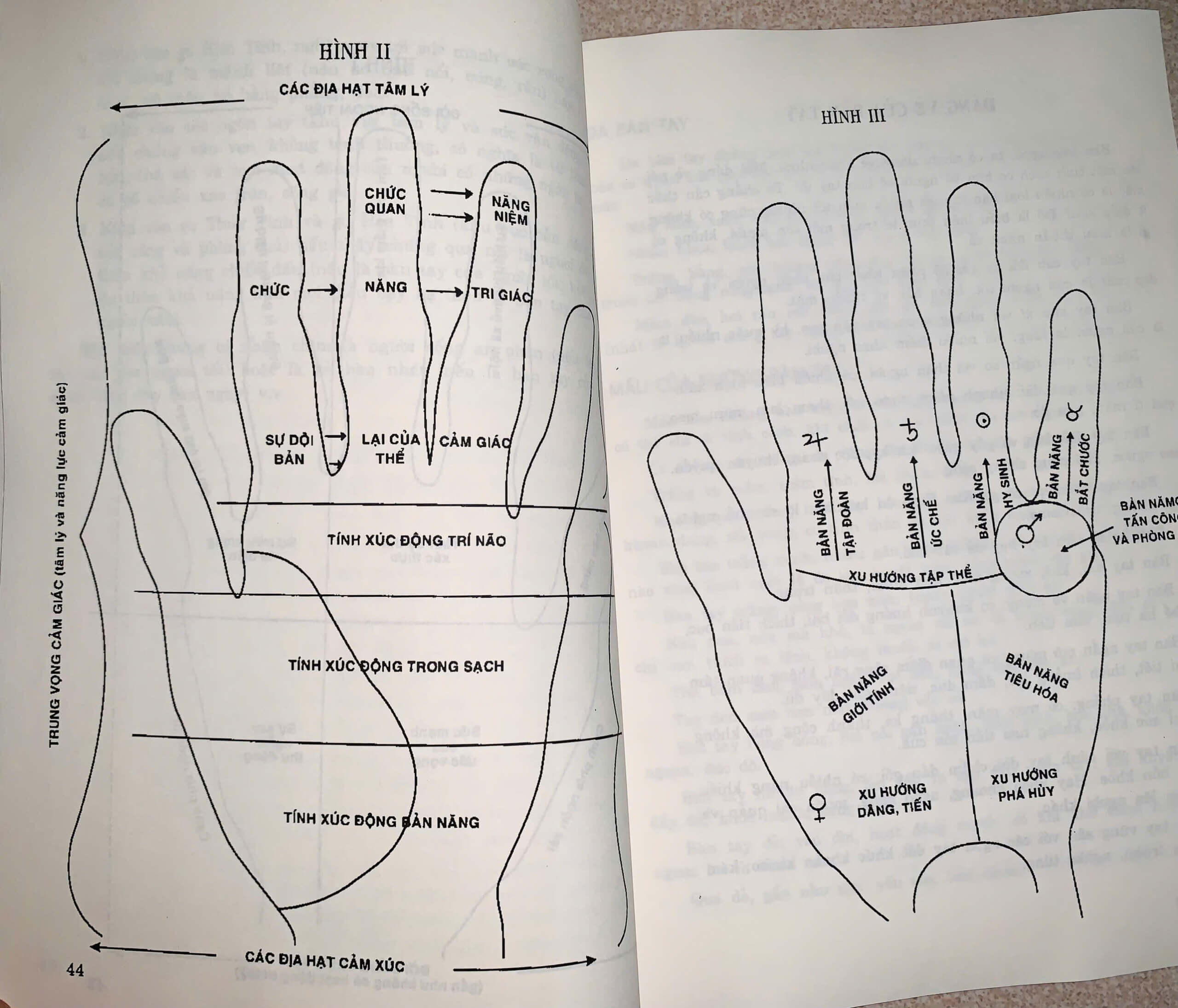 z6384299257363_9d210cc985b774d0ce5ccb99d9924468