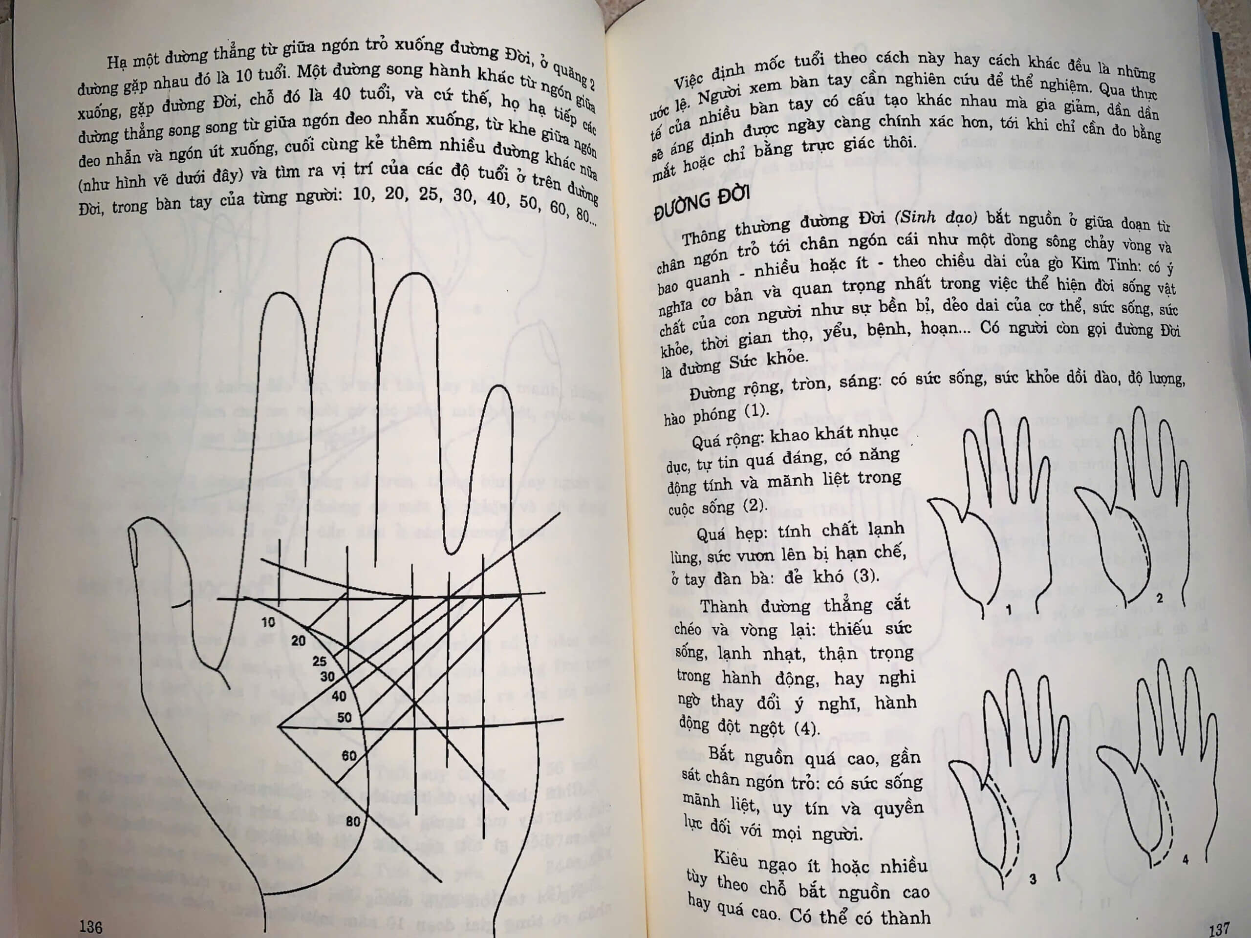 z6384299270623_8347167b31f25acad4ac5b56177a4262