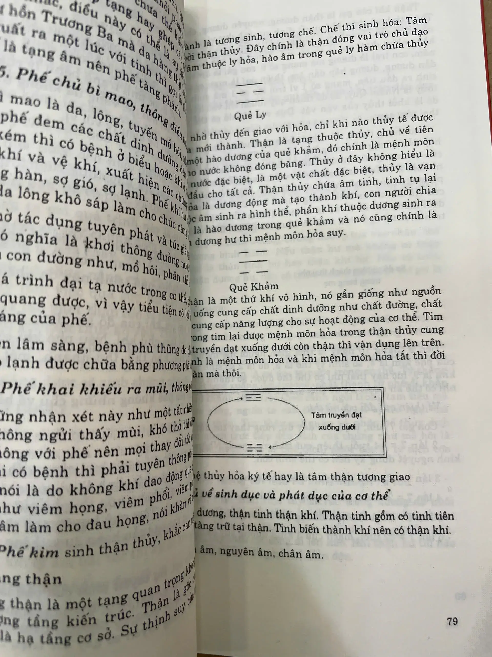 z6426010011669-a27b300423895e300c73047ab43c6558