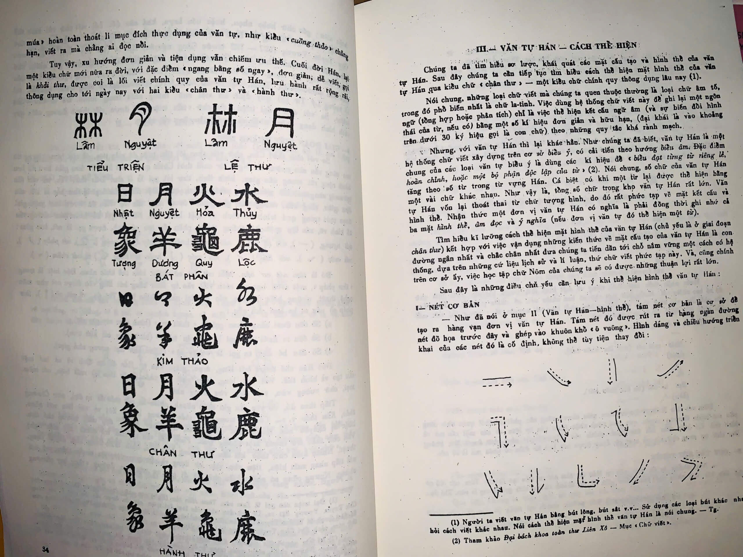 z6547316044006_87c0a024e1652c6fed3a24b5ac105d2d