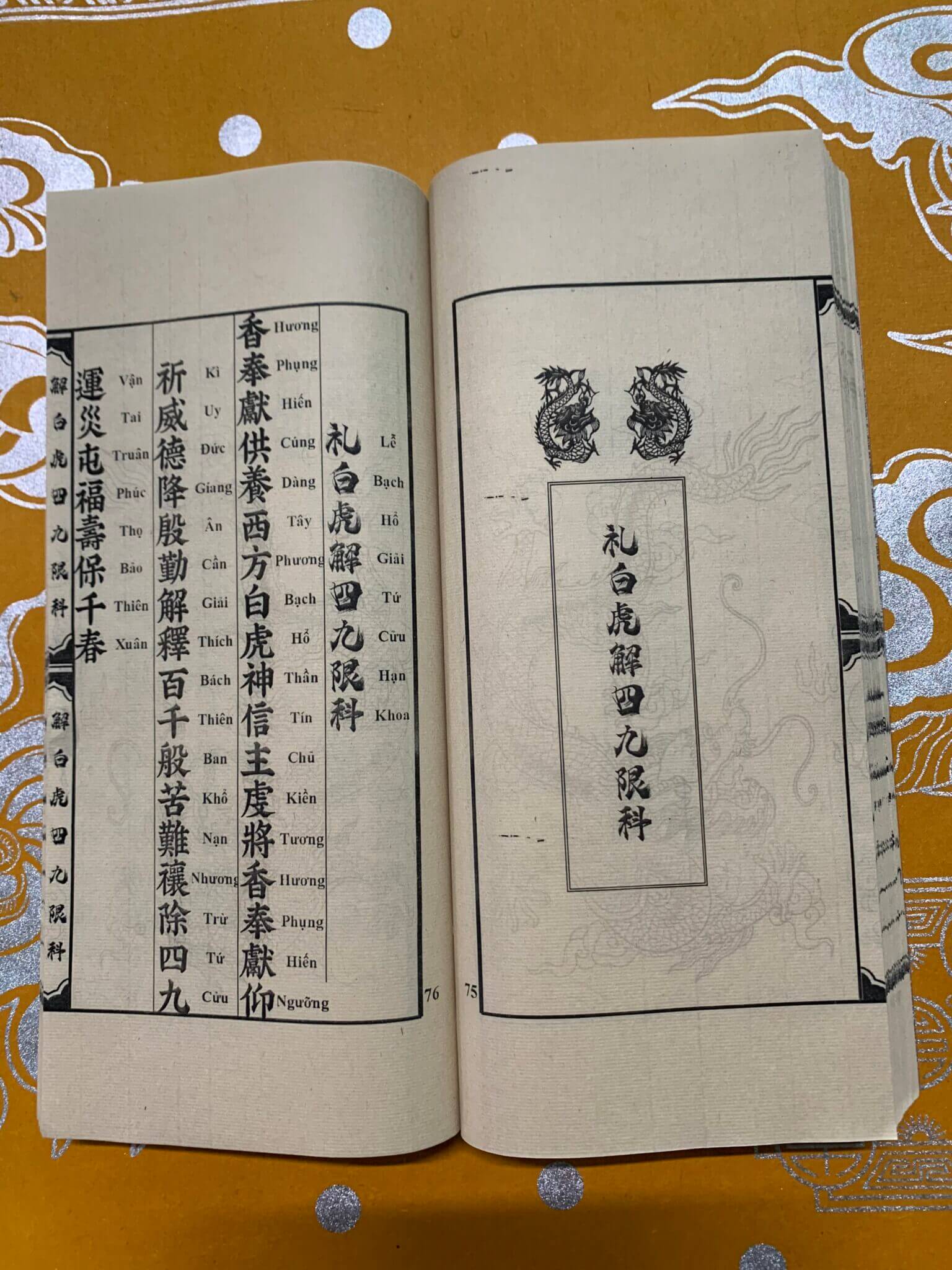 z5196412425575_f894d31340042a1719c1704d17617a20-1536x2048